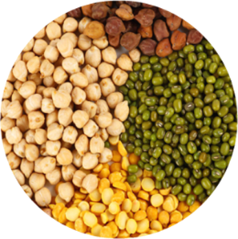 Pulses